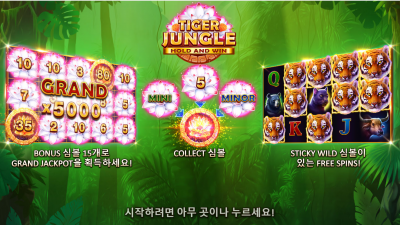 타이거 정글[Tiger Jungle]