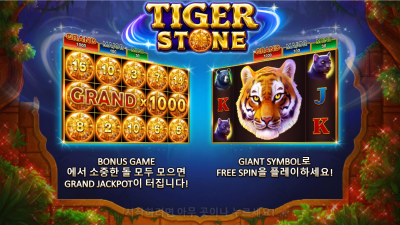 타이거 스톤[Tiger Stone]