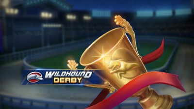 플앤고 와일드헌드 더비