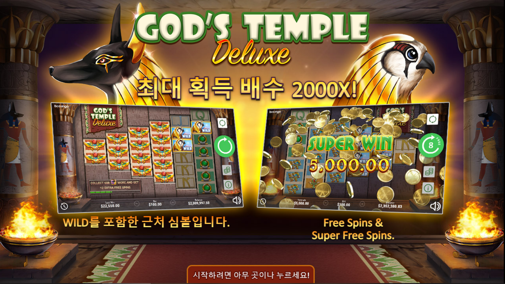 신의 사원 딜럭스