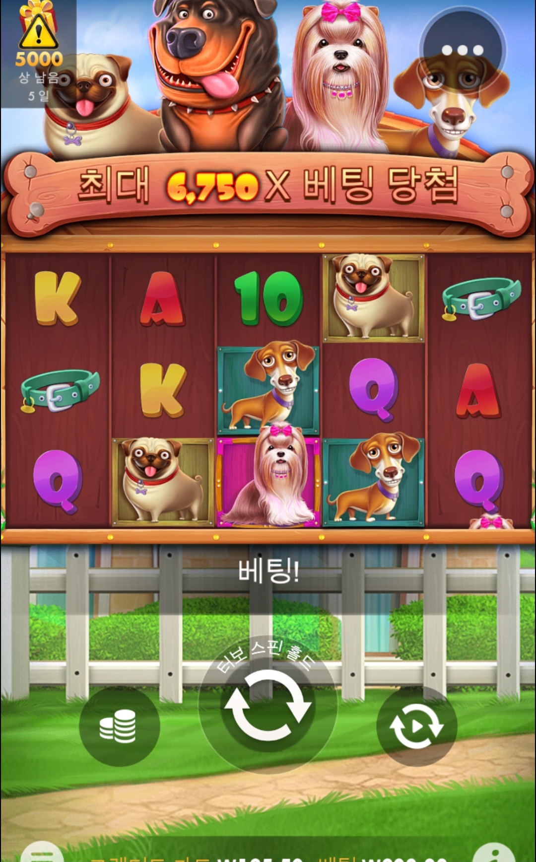 Screenshot_20230311_111328_Chrome.jpg