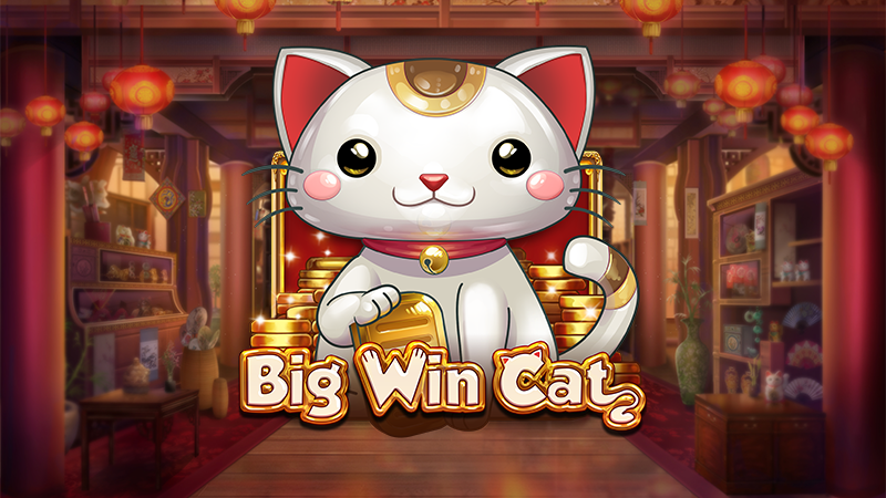 빅 윈 캣