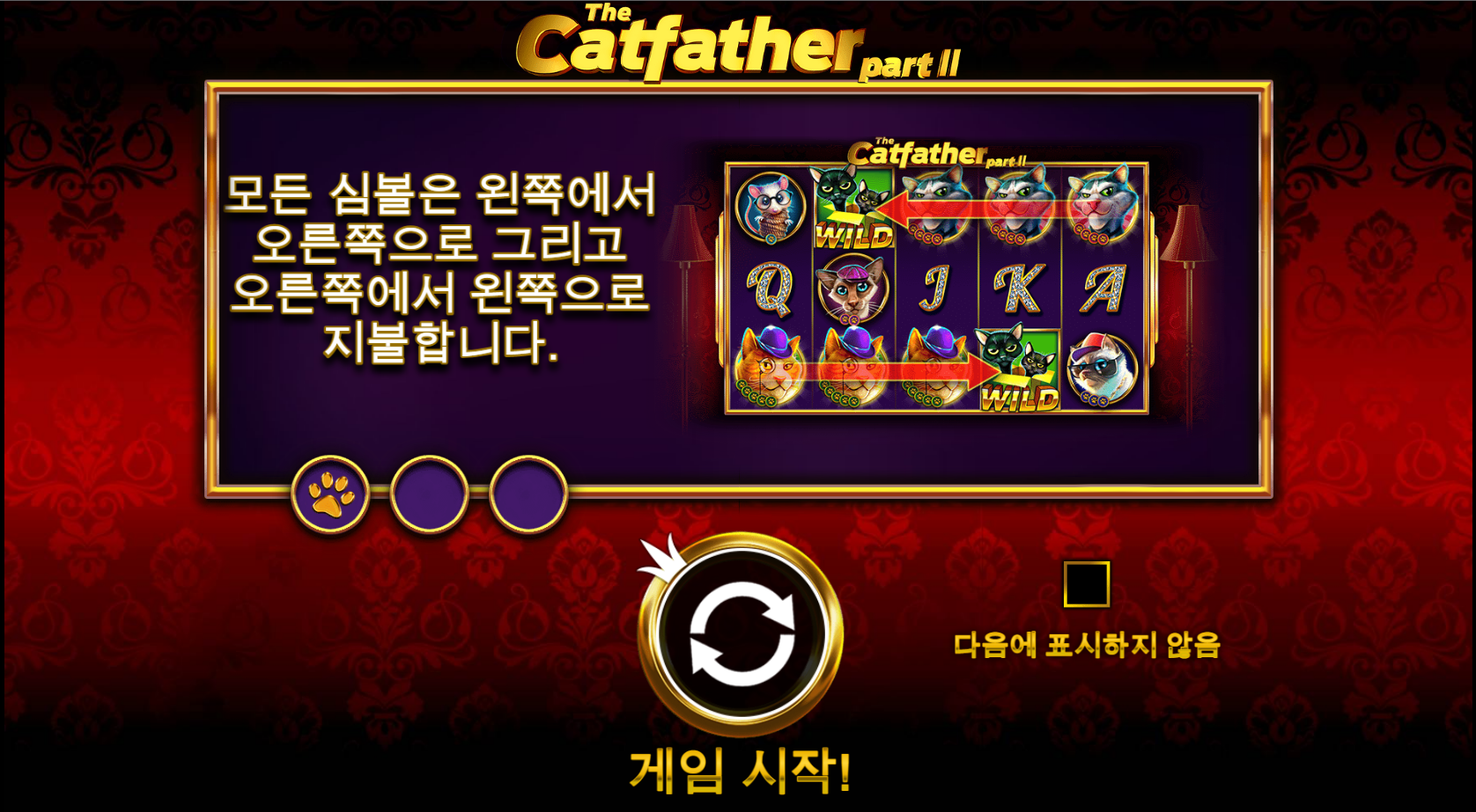 고양이 아빠 2탄