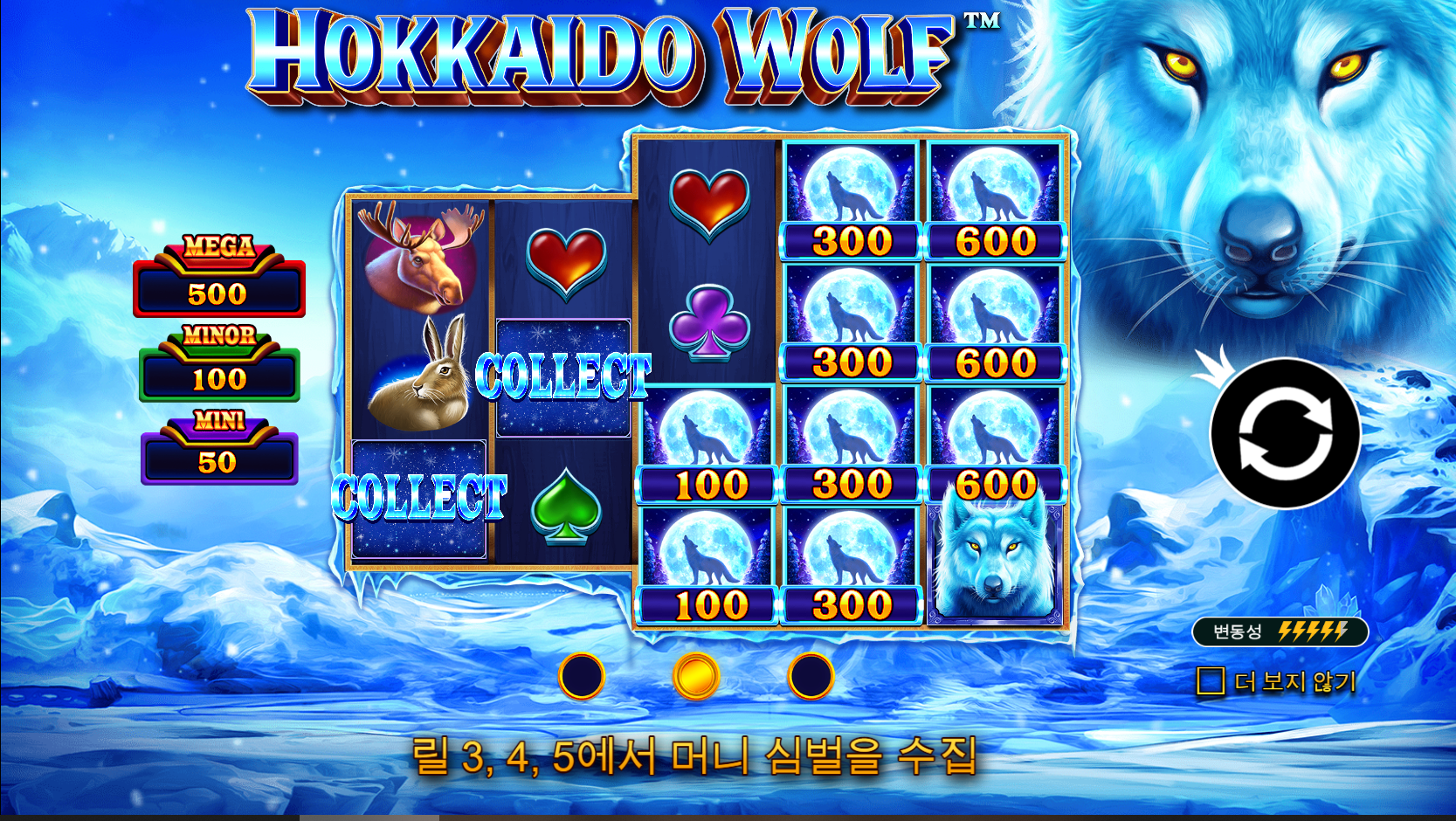 홋카이도 울프