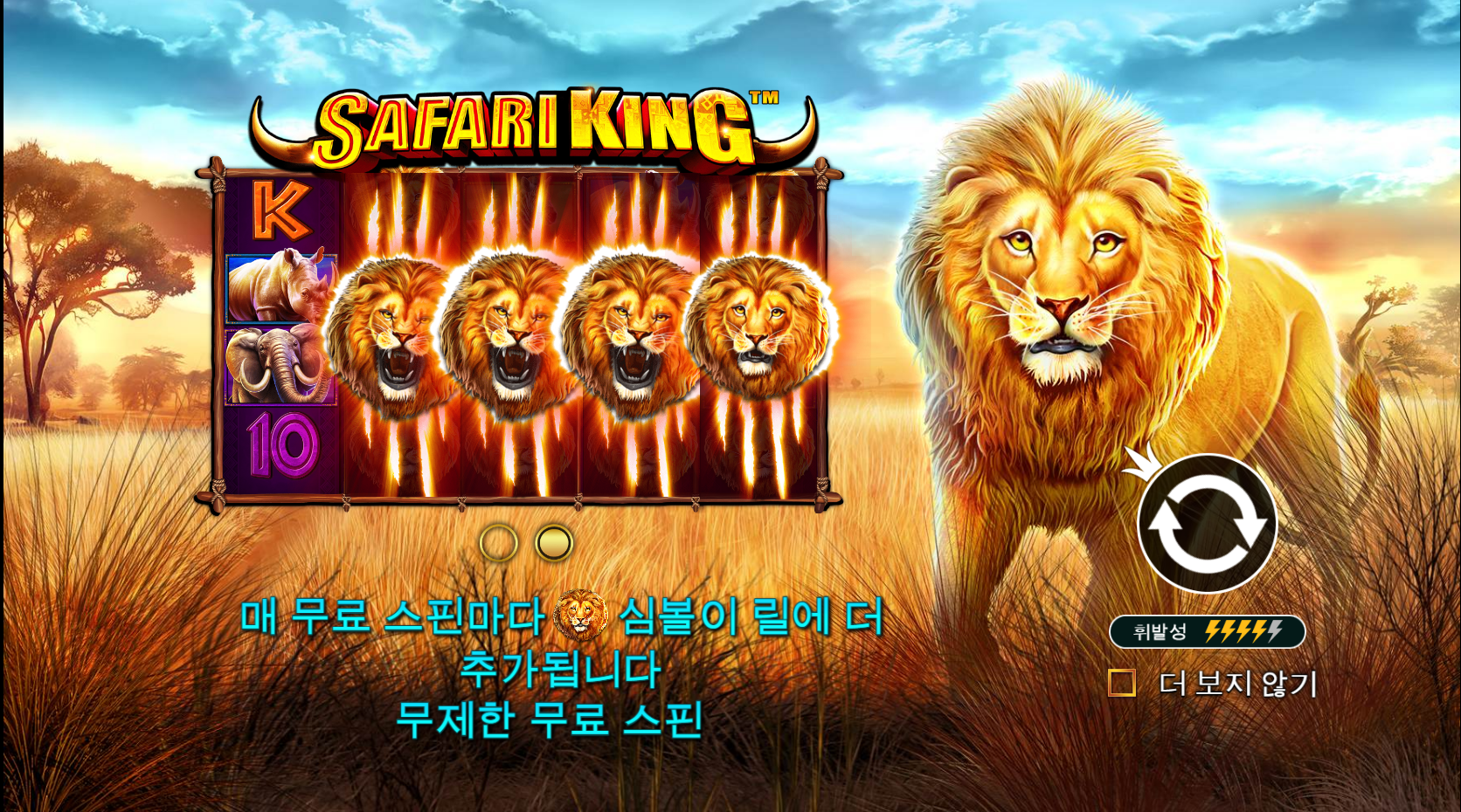 사파리 킹