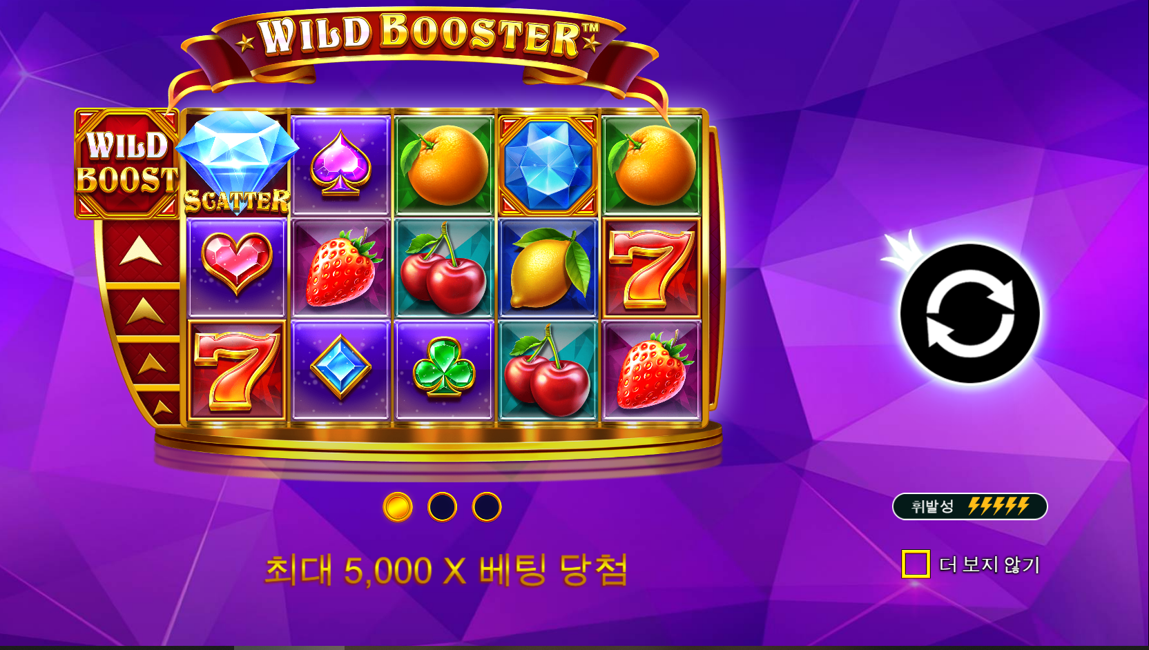 와일드 부스터