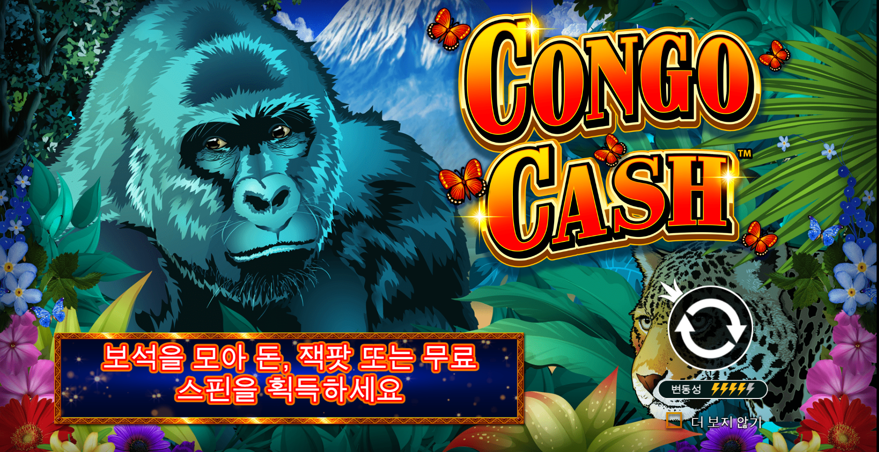 콩고 캐시