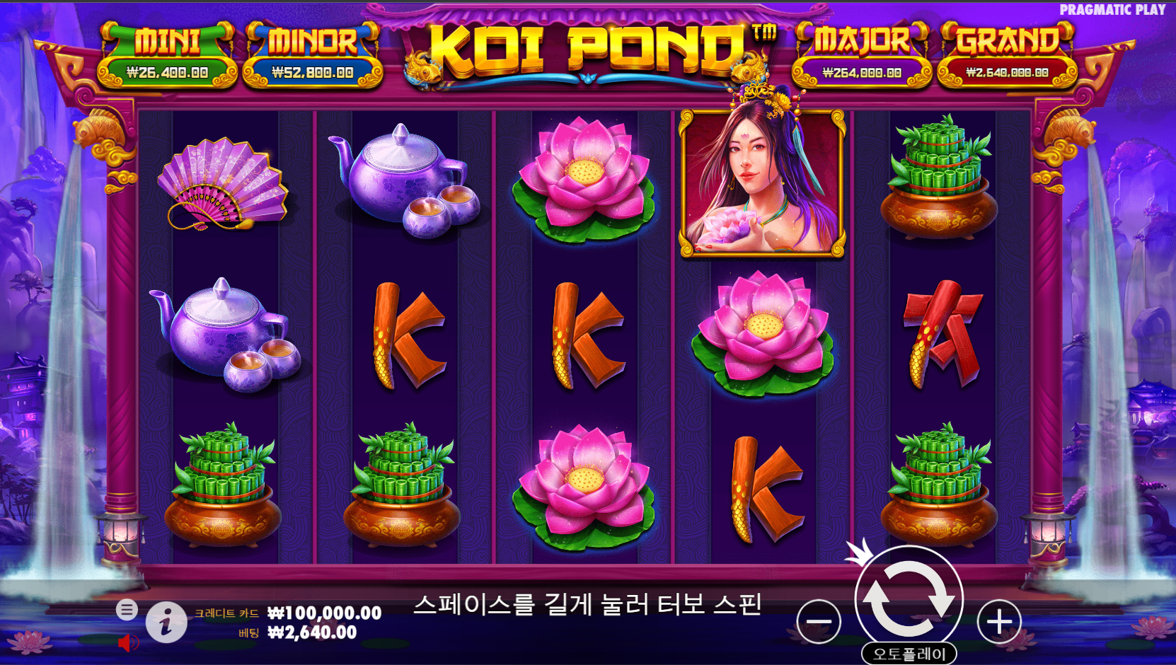 코이 폰드