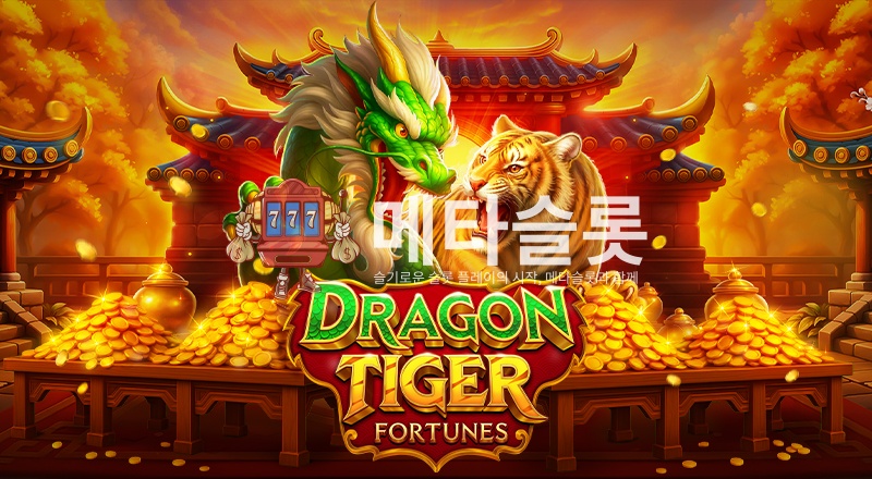 드래곤 타이거 포춘